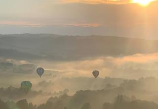 Les Hauts de Cordes - Cordes-sur-Ciel - 6