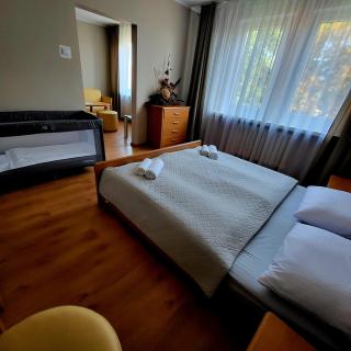 Hotel Piast - Myślibórz - 5