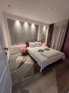 Apartmani MiS apartman br 2 - Soko Banja - 5