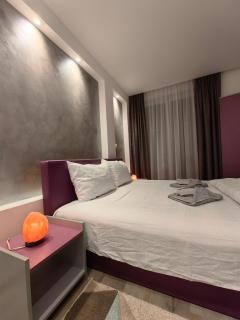 Apartmani MiS apartman br 2 - Soko Banja - 4