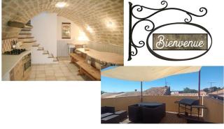 Maison terrasse barbecue à 1 tram de Montpellier et 20 min des plages - 0