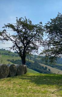 Merlin Malga San Giorgio 6 - 2