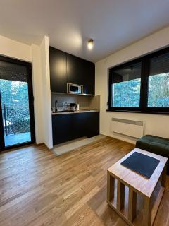 Sofija Apartman Zlatibor - Zlatibor - 4
