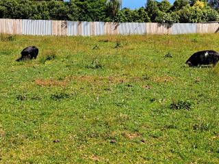 3 Mile BnB - Hokitika - 6