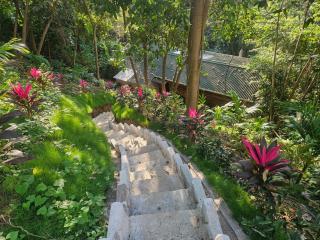 La Casa Del Mono - Minca - 3
