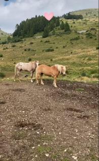 Merlin Malga San Giorgio 6 - 1