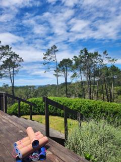 Hahei Hideout Retreat - 6