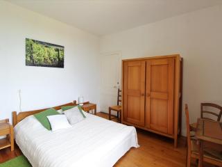 Gîte spacieux au cœur d'un vignoble avec sauna, cheminée et jardin privatif, vallée du Layon - FR-1-622-49 - Le Champ-sur-Layon - 3
