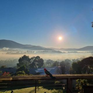 House on the Hill - Healesville - 0