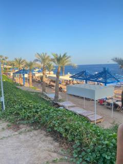 Enjoy pyramids Golden Hotel - 7