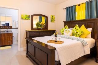 Welcome to our Ocean View Villa! - Lucea - 2