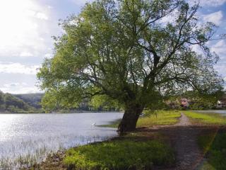 Ferienwohnung Denhof - 1