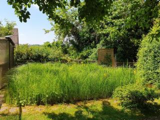 Ferienwohnung Auszeit am Edersee - 1
