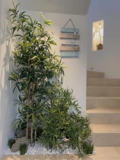 Whitewater Beach House - 7