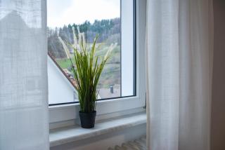 Apartment Sonnenglück im Schwarzwald with Panoramaview, Terrace, 3 Bedrooms - 3