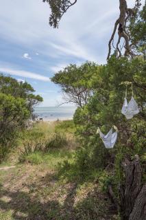 The Leaning Tree - Capel Sound - 4