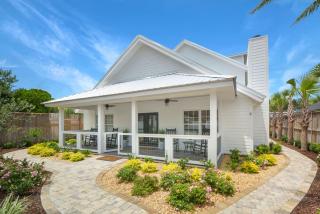 Island Attitude - Saint Simons Island - 6
