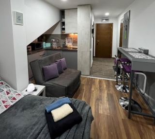 Apartman Kruna President Kop - 1