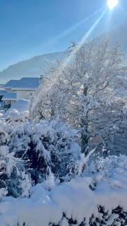 Ferienwohnung Alpseeliebe - Immenstadt im Allgäu - 5