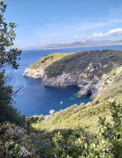 Grand appartement T2 sur la Presqu’île de GIENS - Hyères - 4