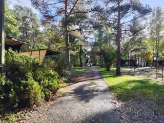 Kleine Freiheit Nummer 4 - 9