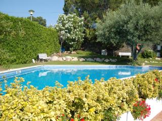 CEL 103 Apartamento luminoso y sencillo en residencial ajardinado con piscina comunitaria - ES-228-22 - Llança - 1