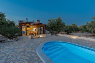 Eco Villa Solus with pool - Drage - 9