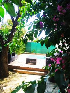 Les lauriers roses - Narbonne - 3