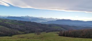 Chambre Nature Mondavezan - 3
