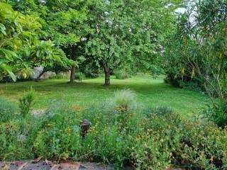 Chambre Nature Mondavezan - 2