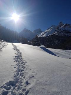 Alloggio Kenne, a 200m dagli impianti Monterosaski - Champoluc - 3
