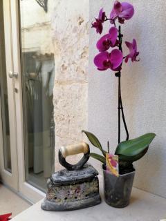 Ammira - Syracuse - 5