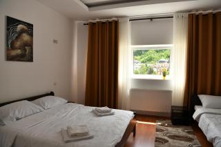 Apartmani GOLD-SWISS - Priboj - 4
