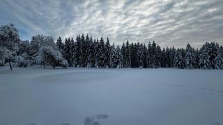 Puhkemaja metsa sees - 6