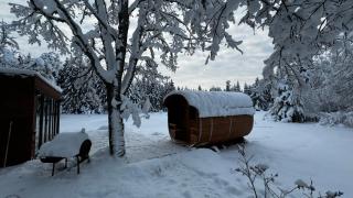 Puhkemaja metsa sees - 4