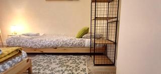 Heart of Cedofeita - 7