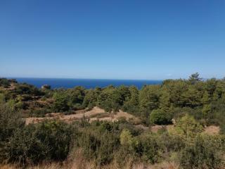 Esila bungalow sea and nature wiev - Fethiye - 5
