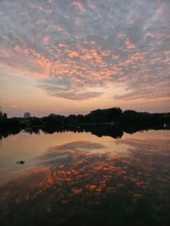 Anaya's Lake House - Cochin - 9