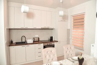 Apartment Boskovic - Banja Koviljača - 4