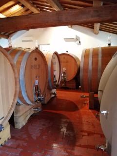 Fattoria Poggerino - 6