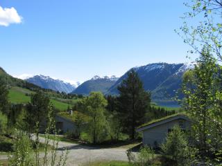Jølsterlia Hyttetun - Årdal - 9