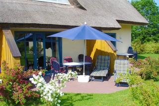 Reetdachhaus Malve 2 - Puddemin - 9