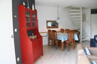 Liguster 90* - Nieuwvliet - 4