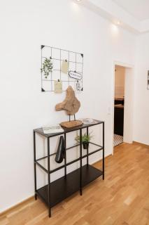 Center Elegance Light Apartment - 2