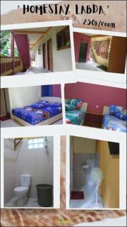 Home stay sendangbiru - Roworante - 1