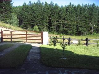 Vikendica Životić - Zlatibor - 4