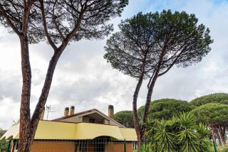 Pamphili Garden Villa - Roma - 6
