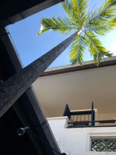 97 Yaowarat - Phuket Old Town - 9