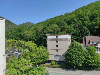 Ferienwohnung HarzHome - 7