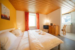 Haus Padrun 3 - Arosa - 6